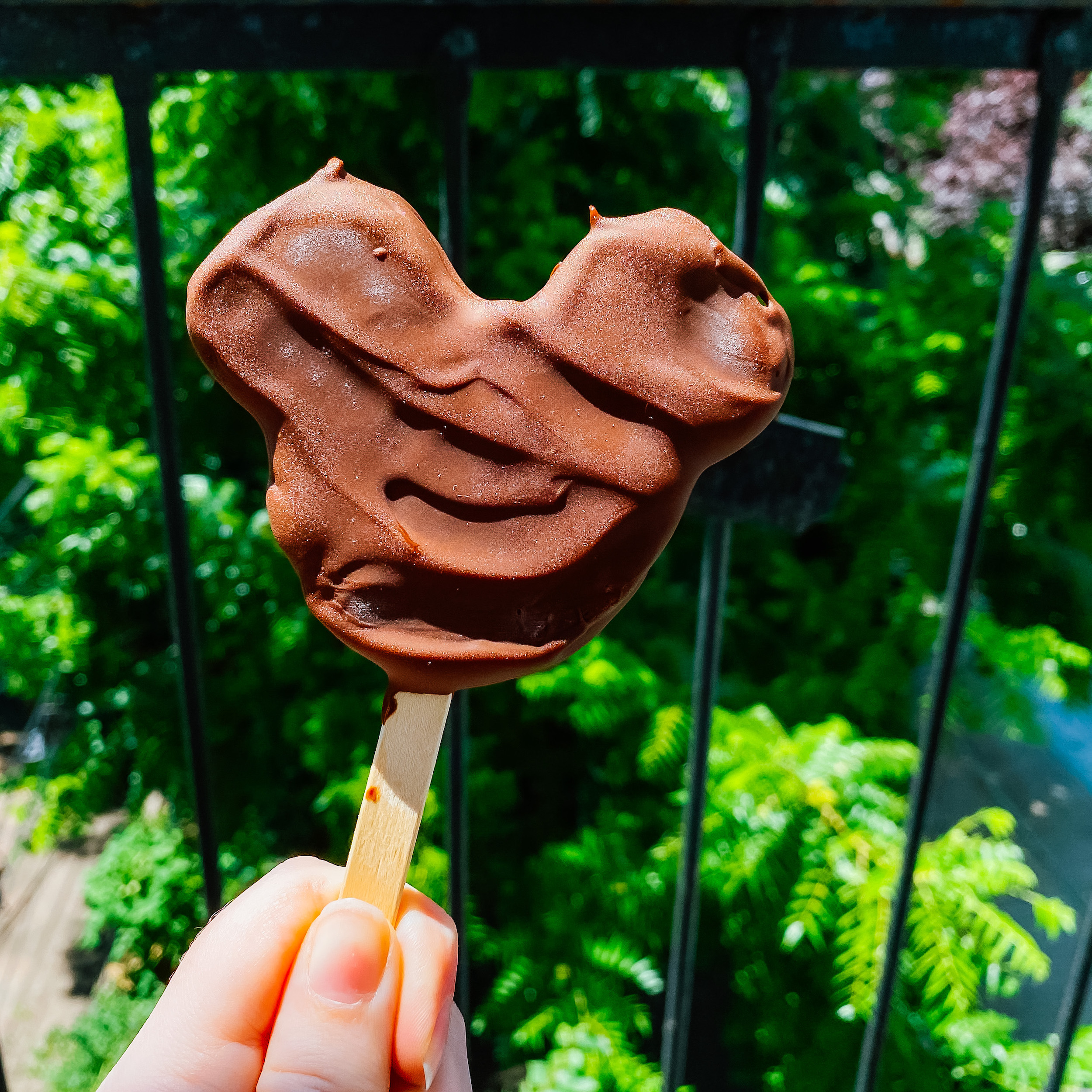 mickey ice cream bar with chocolate