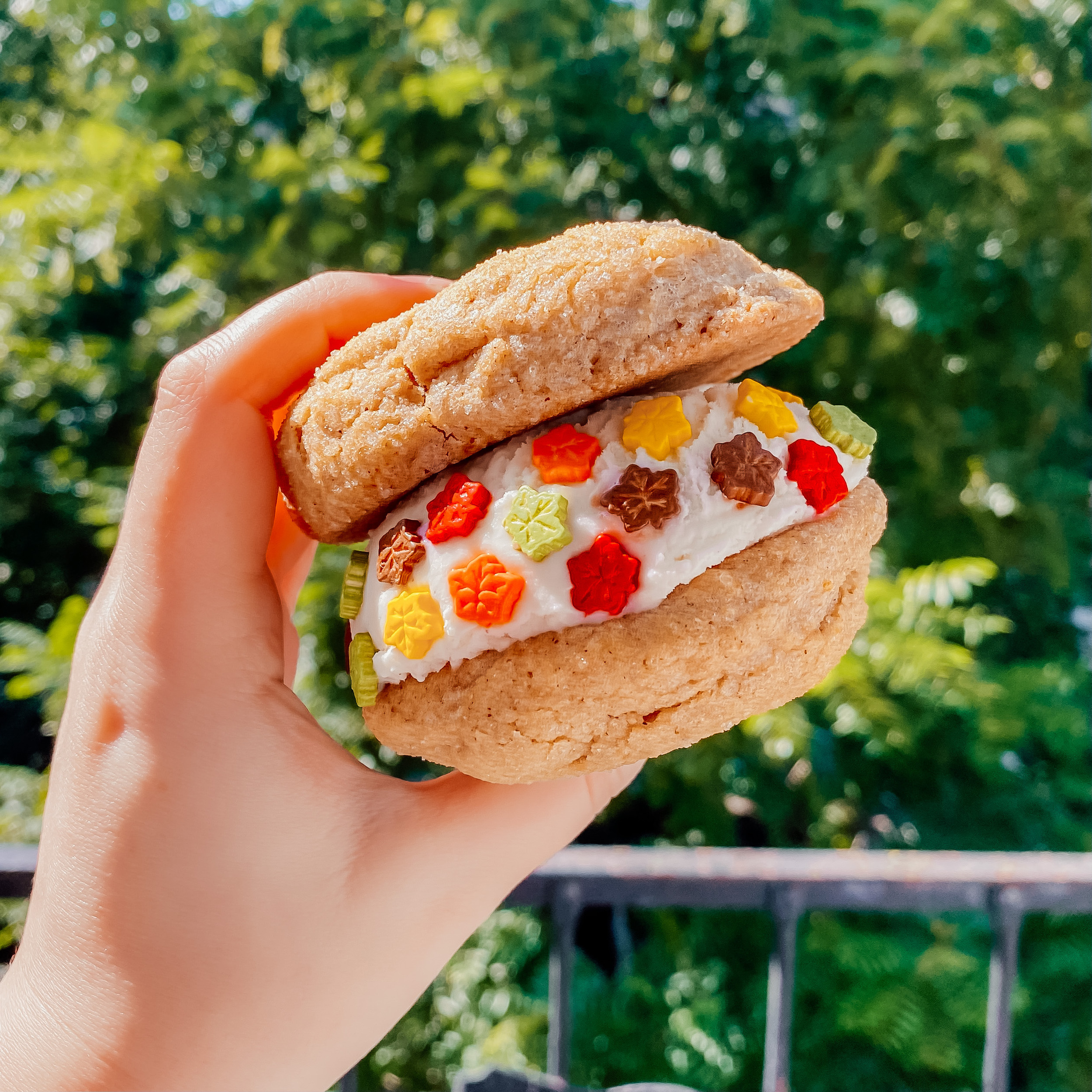 Pumpkin Cookie Ice Cream Sandwich