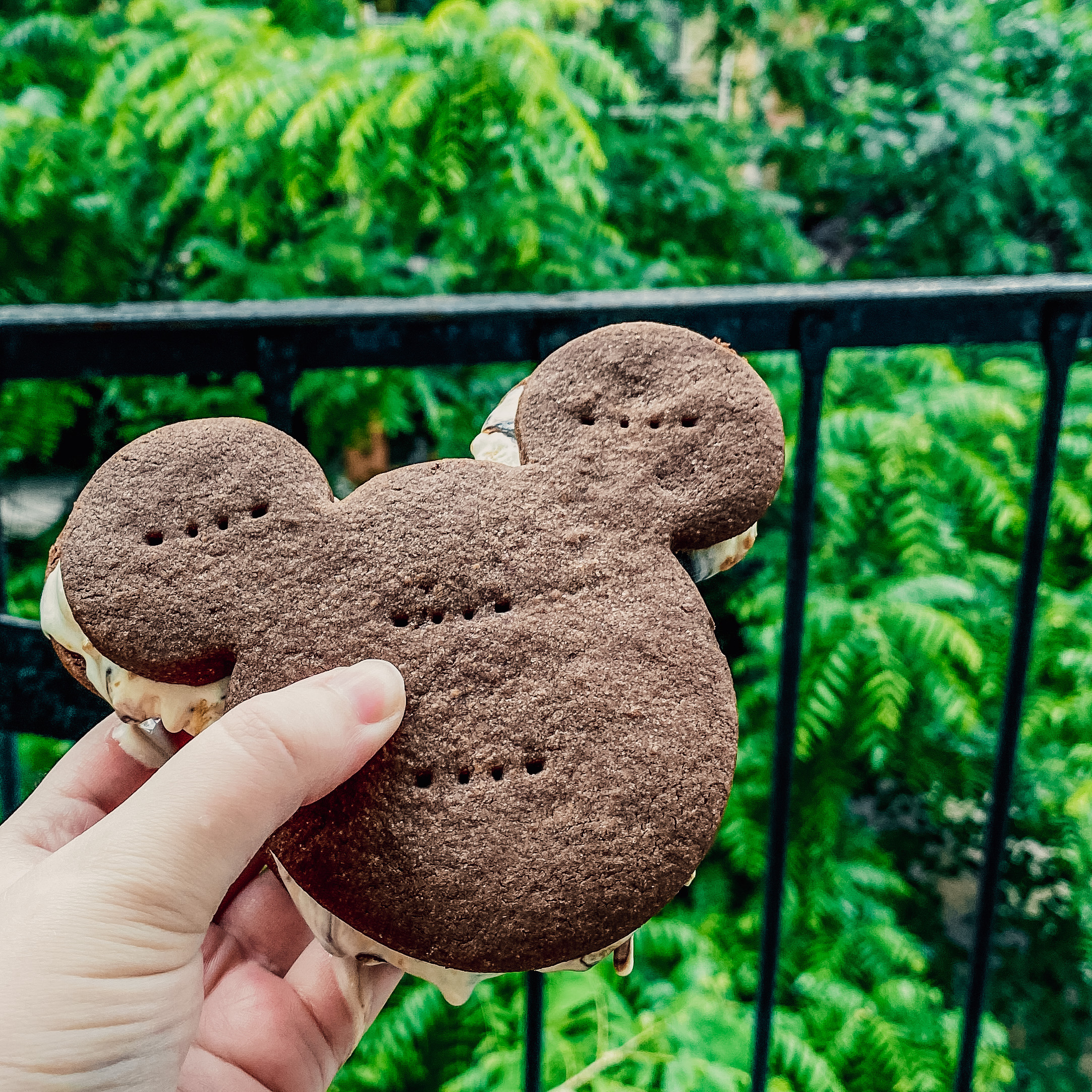 Mickey Ice Cream Sandwiches (Mickey shaped chocolate cookie ice cream sandwich being held against a background of trees)