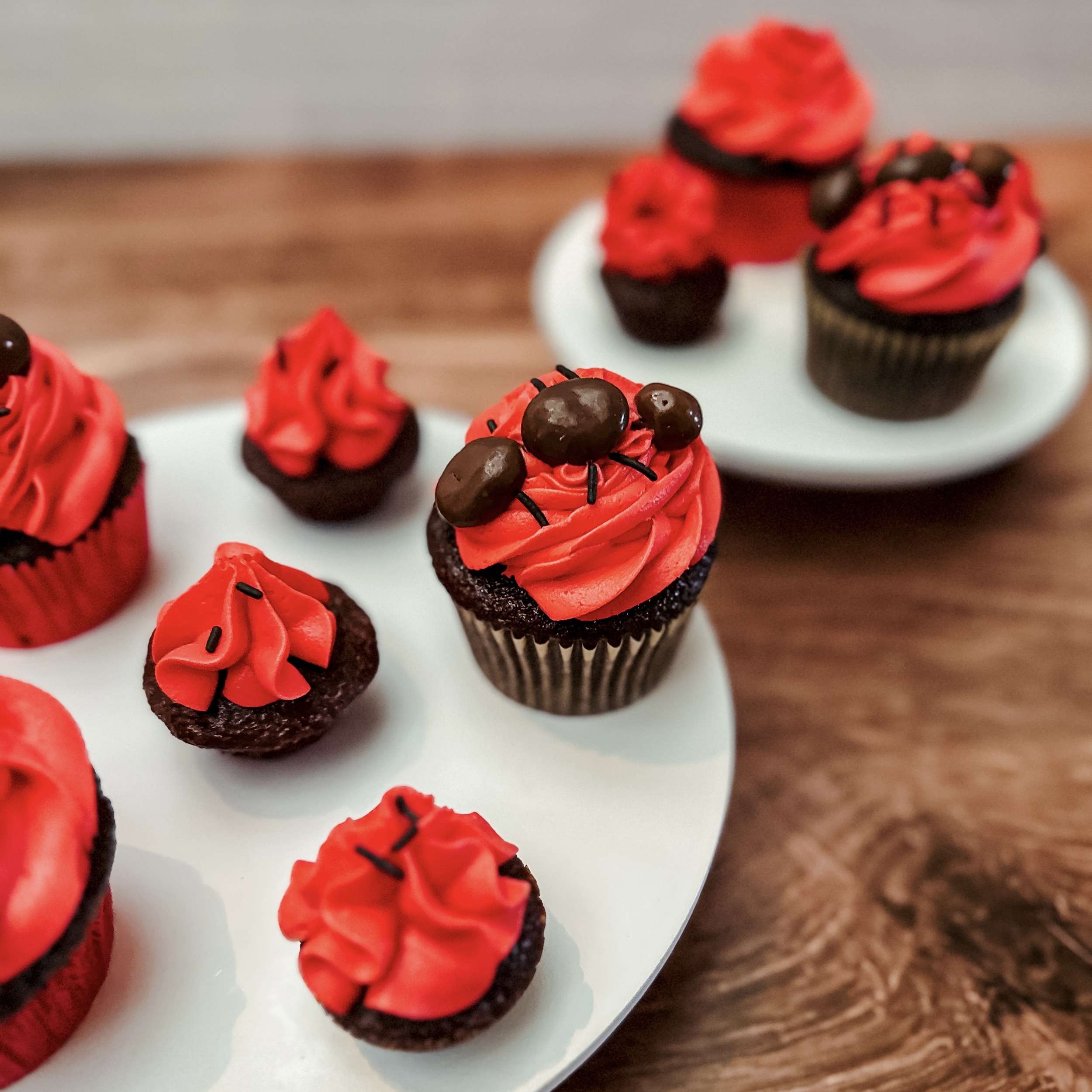 Quantum Cupcakes (chocolate cupcakes with red frosting and chocolate raisin ants)